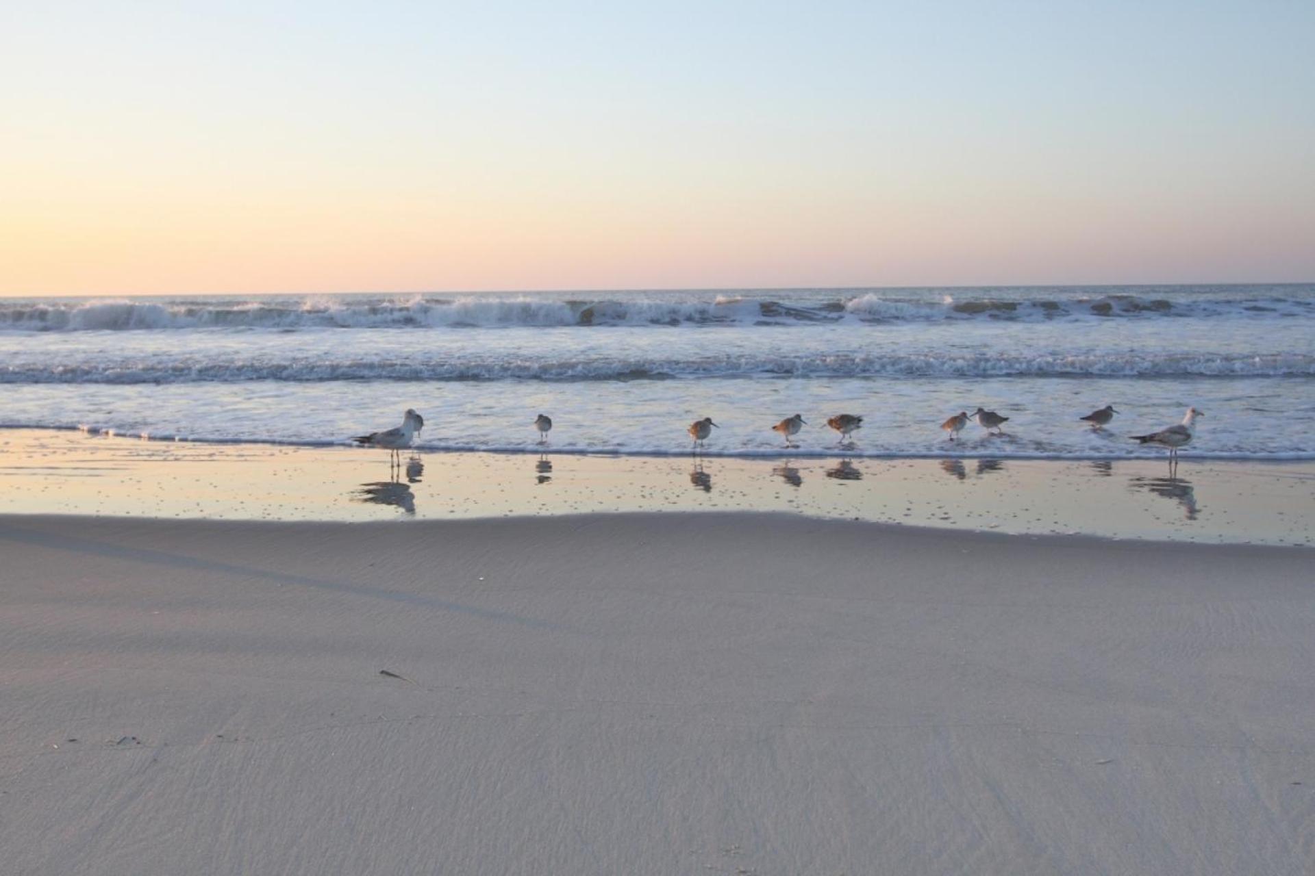 Just Beachy Villa Isle of Palms Esterno foto
